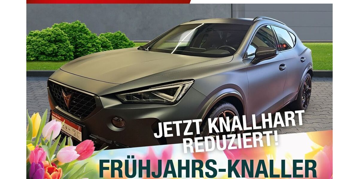 Cupra Formentor 17.464 km 51.670 &euro; Marktredwitz 95615