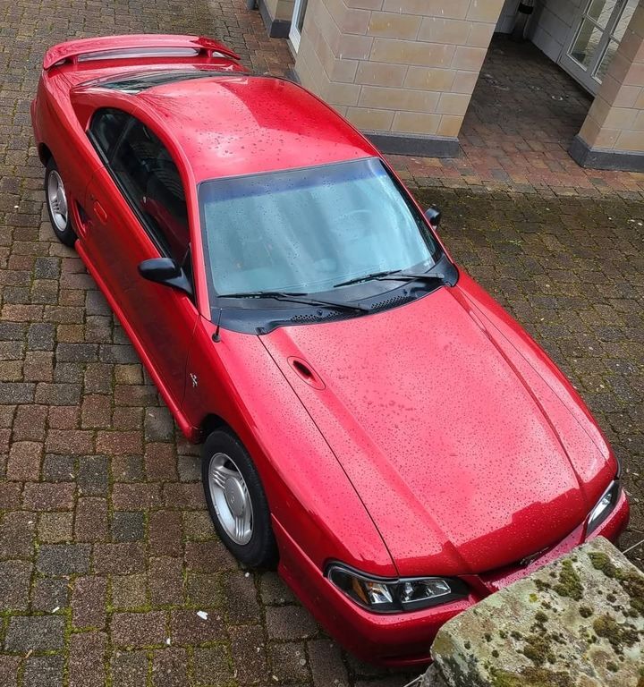 Mustang