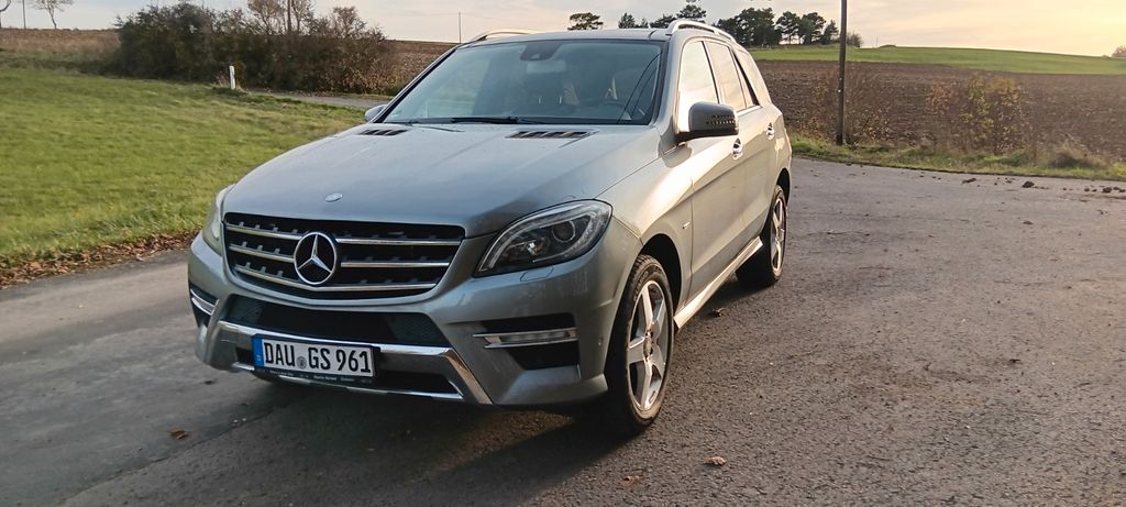 Mercedes-Benz ML 250 274.500 km 14.000 &euro; Leudersdorf 54579