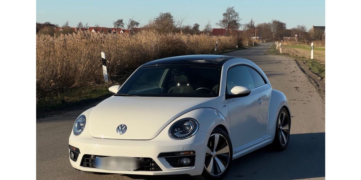 VW Beetle 162.000 km 9.999 &euro; Krummhörn 26736