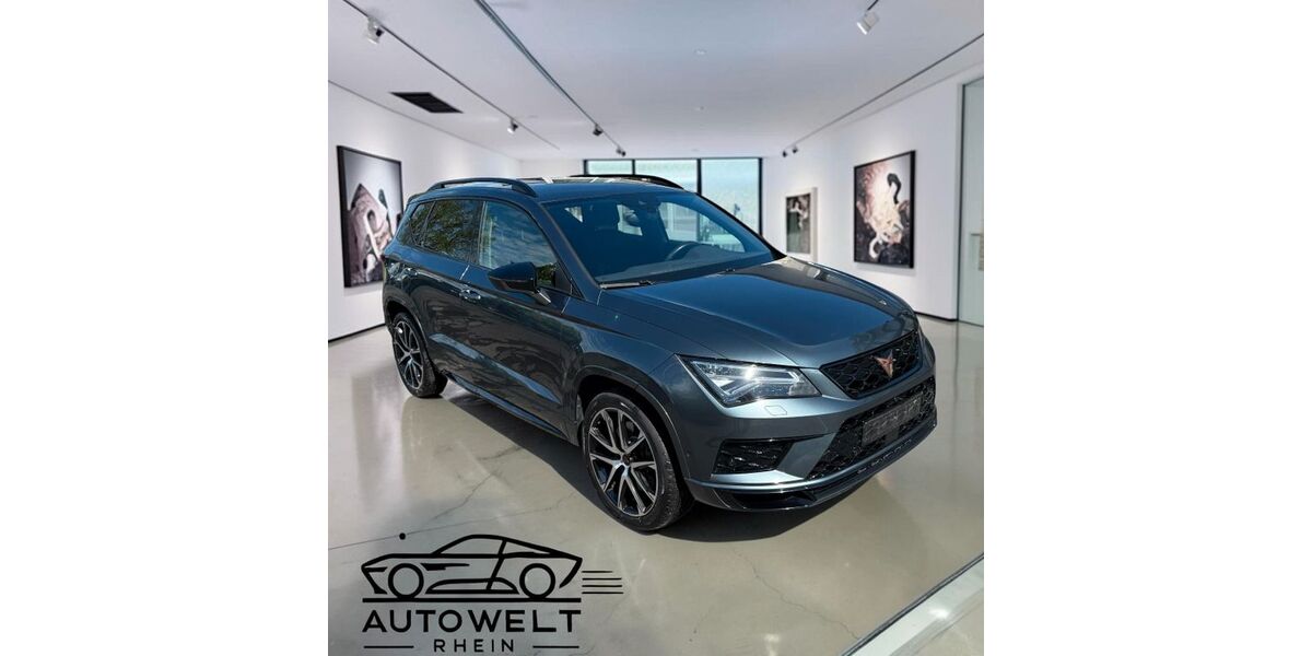 Cupra Ateca 123.800 km 21.490 &euro; Bonn OT Pützchen 53229