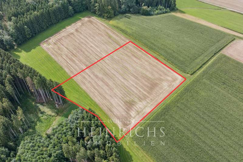 Grundstück in Roggenburg 66.400 € 9219 m²