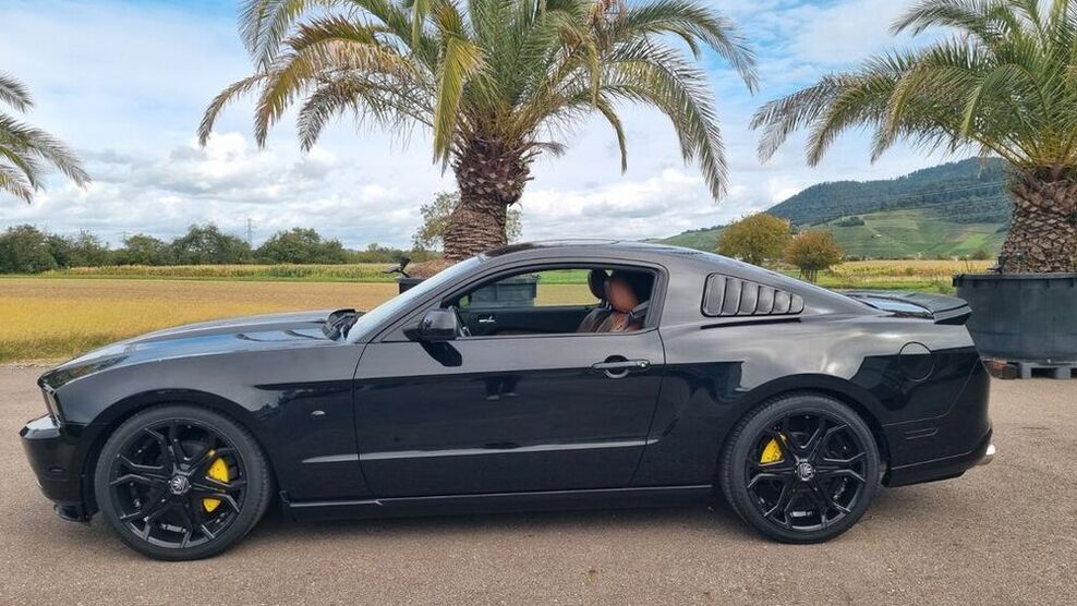 Mustang
