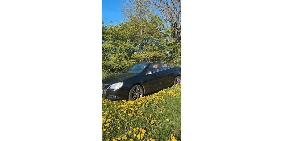 VW Eos 243.000 km 3.800 &euro; Langstedt 24852