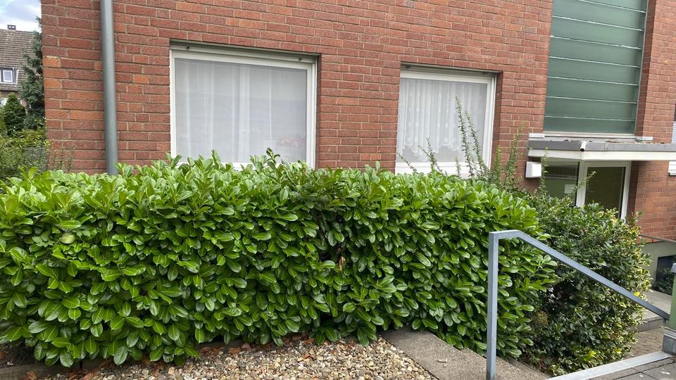 Erdgeschoßwohnung Neuss Allerheiligen - 4 Zimmer, 88 m&sup2;, 269.000&euro; | Angebot:27413707