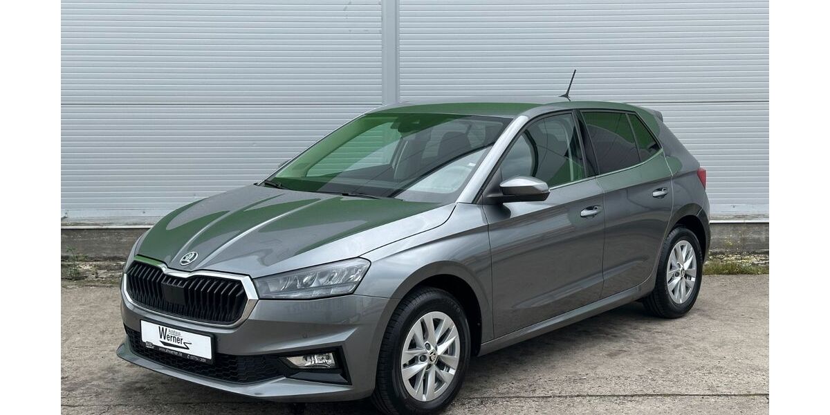 Skoda Fabia 18.586 km 18.990 &euro; Zwönitz / OT Dorfchemnitz 08297