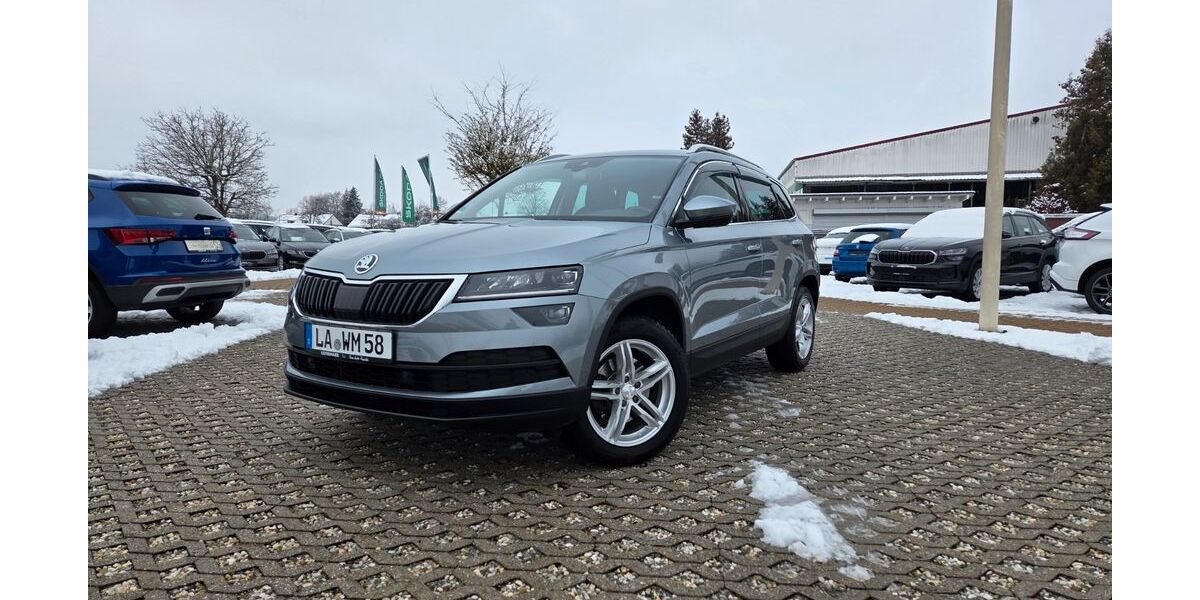 Skoda Karoq 118.000 km 18.999 &euro; Landshut 84034
