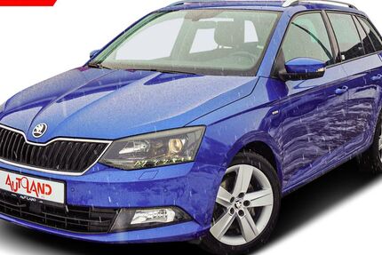 Skoda Fabia 100.163 km 12.990 &euro; Bautzen 02625