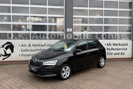 Skoda Fabia 72.000 km 8.990 € Lohne 49393