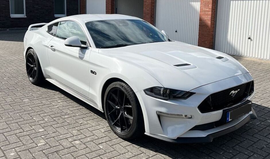 Mustang