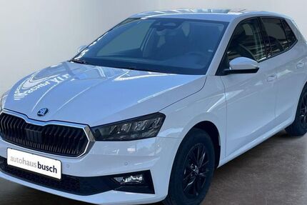 Skoda Fabia 2.510 km 18.480 &euro; Pförring 85104