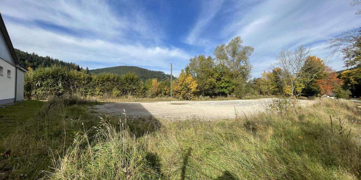 Grundstück in Baiersbronn 416.000 € 2969 m² zimmer