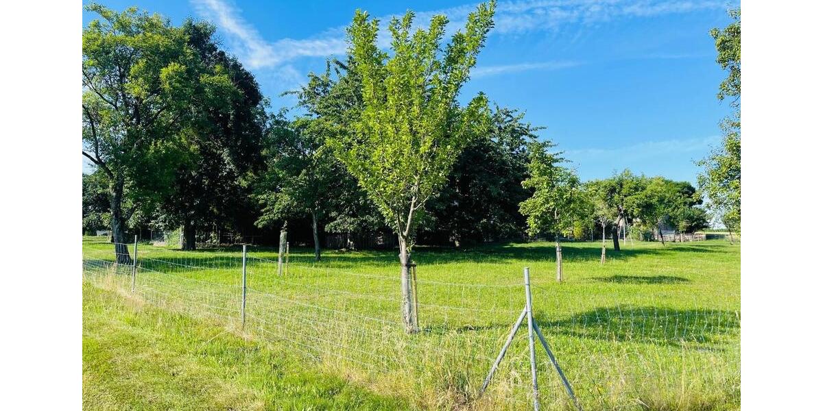 Einfamilienhaus Ortenburg - 2 Zimmer, 116 m&sup2;, 390.000&euro; | Angebot:26398237