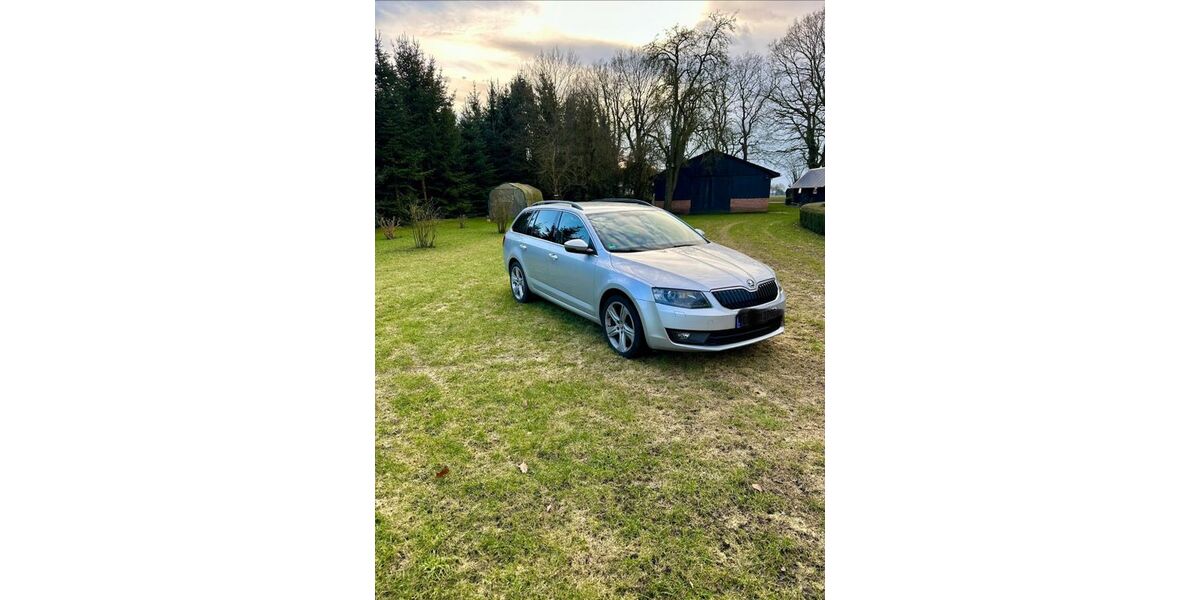 Skoda Octavia 233.800 km 7.999 &euro; Wildeshausen 27793