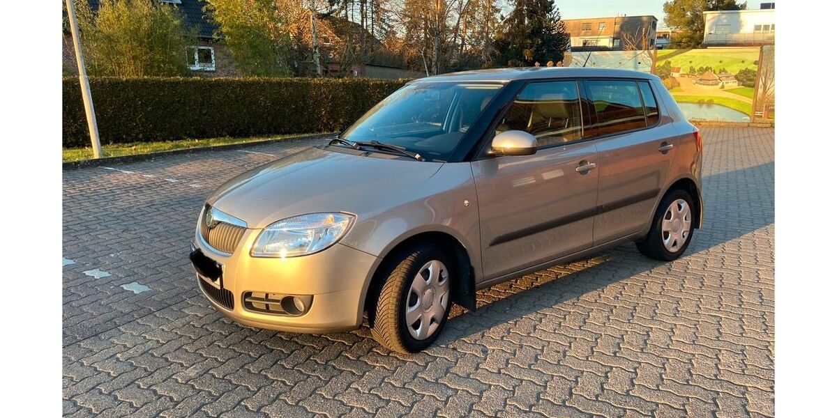 Skoda Fabia 122.000 km 2.900 &euro; Henstedt-Ulzburg 24558