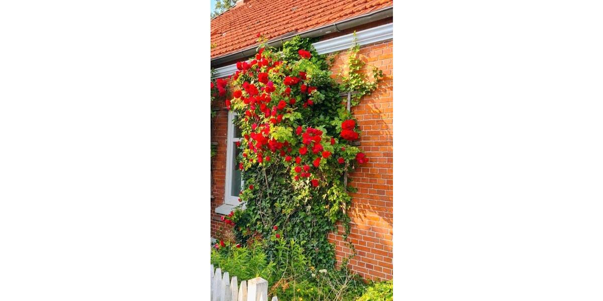 Mehrfamilienhaus, Wohnhaus Rhauderfehn - 7 Zimmer, 170 m&sup2;, 279.000&euro; | Angebot:26313771