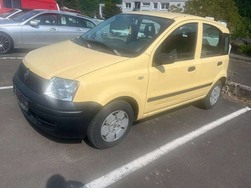 Panda