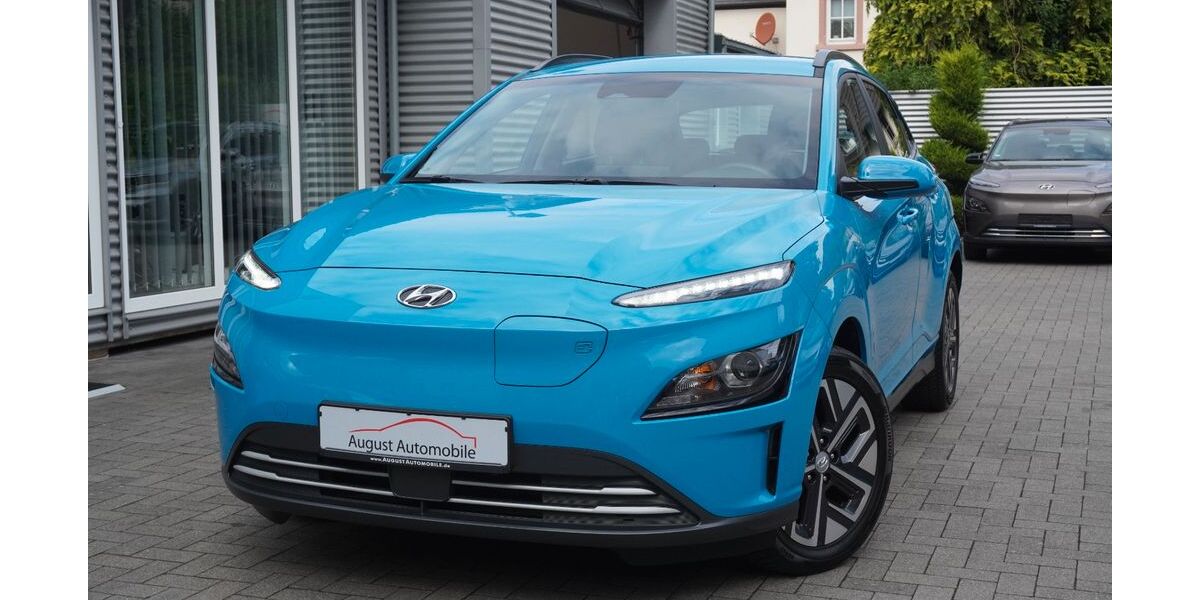 Hyundai KONA Elektro 46.000 km 18.670 &euro; Worms 67549