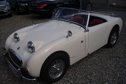 Austin Healey Andere