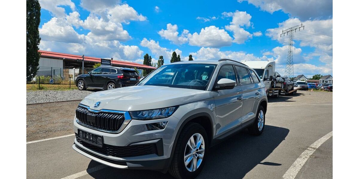 Skoda Kodiaq 168.765 km 20.900 &euro; Berlin 12099