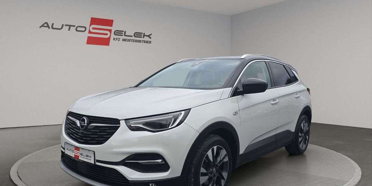 Opel Grandland X 121.306 km 18.950 &euro; Neustadt 96465