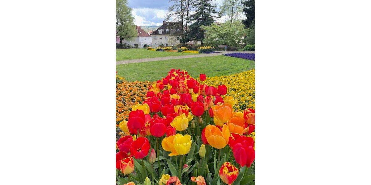 Reihenmittelhaus Gütersloh Innenstadt - 3 Zimmer, 84 m&sup2;, 159.800&euro; | Angebot:26309578