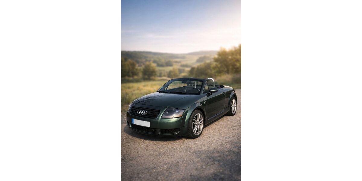 Audi TT 115.000 km 12.900 &euro; Ispringen 75228