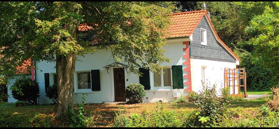 Einfamilienhaus Kürten 160 qm 9400 qm Grund Schwimmteich zimmer