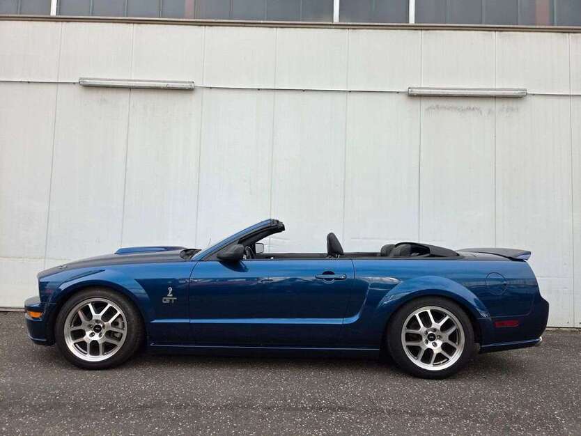 Mustang