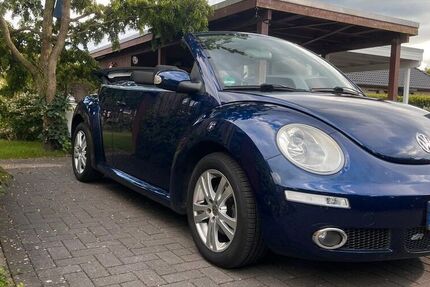 VW Beetle