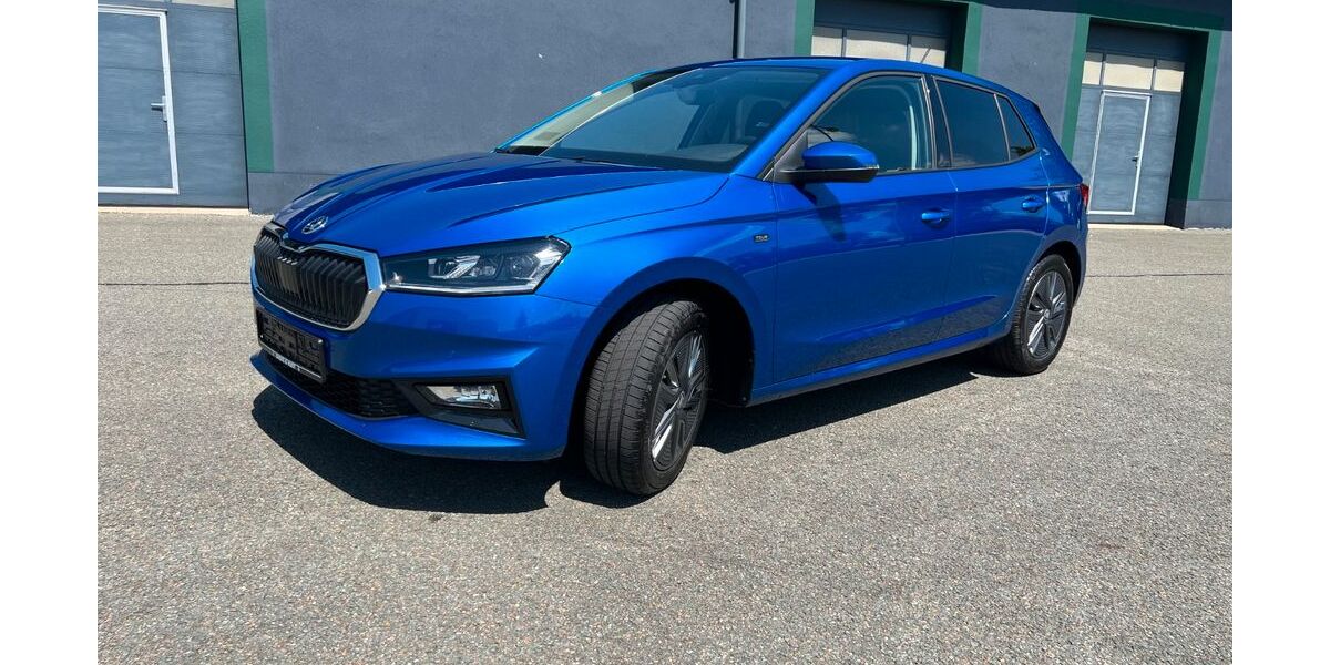 Skoda Fabia 3.334 km 20.700 &euro; Schneeberg 08289