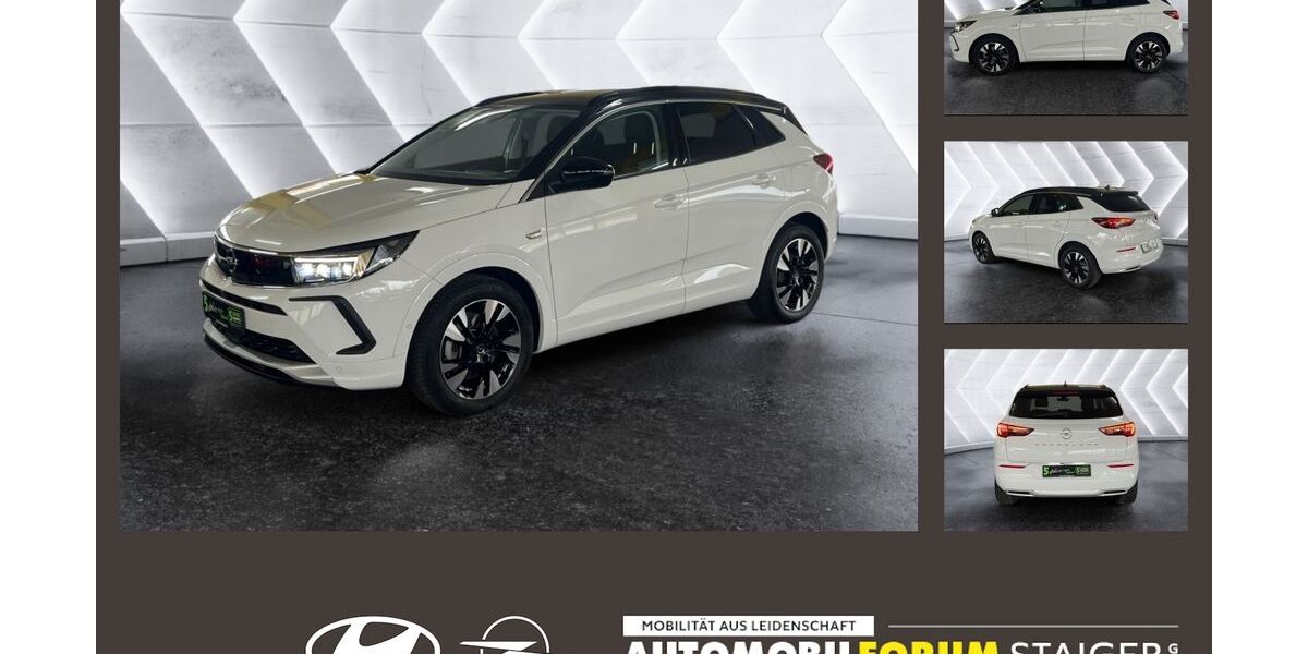 Opel Grandland (X) 18.167 km 23.380 &euro; Pfullingen 72793