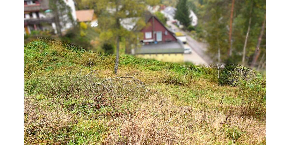 Grundstück Titisee-Neustadt Neustadt - 188.000&euro; | Angebot:23981804