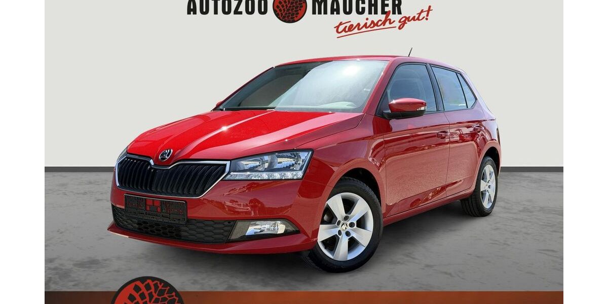 Skoda Fabia 59.100 km 9.990 &euro; Wilhelmsdorf 88271