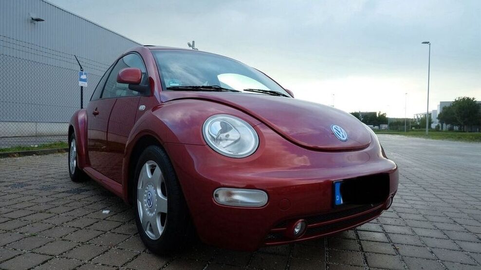 Beetle