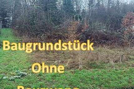 Grundstück zu verkaufen in Trienz 75.000 € 1010 m²