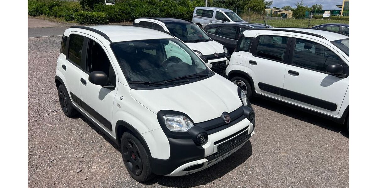 Fiat Panda 86.400 km 7.790 &euro; Oschatz 04758