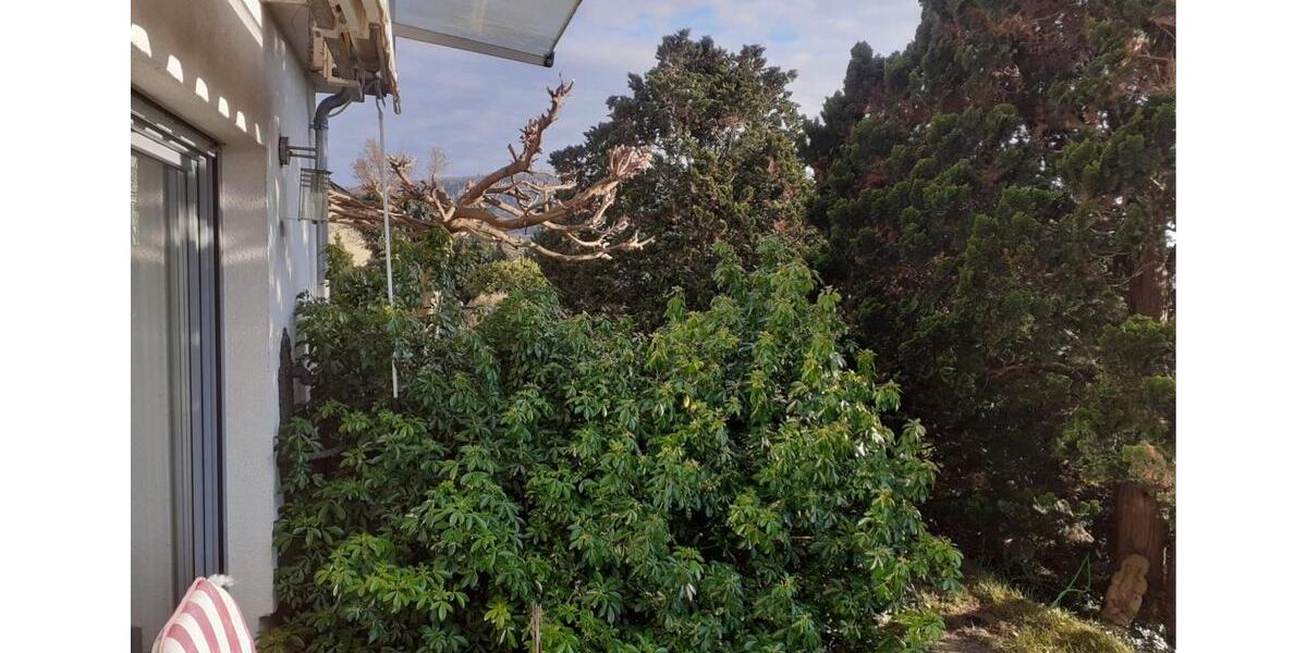 Erdgeschoßwohnung Neckargemünd - 1.5 Zimmer, 43 m&sup2;, 590&euro; | Angebot:26020896