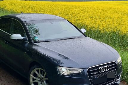 Audi A5 291.000 km 8.500 &euro; Horn-Bad Meinberg 32805