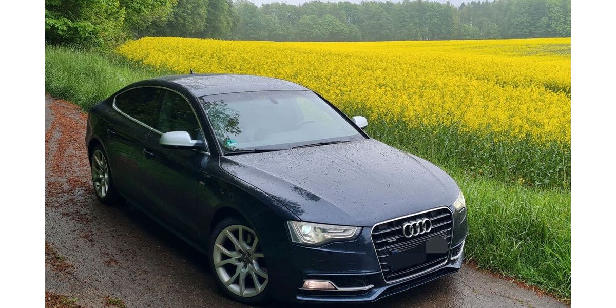Audi A5 291.000 km 8.500 &euro; Horn-Bad Meinberg 32805