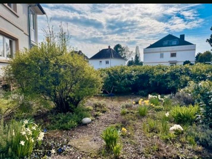 Dachgeschoßwohnung Neustadt an der Weinstraße Diedesfeld - 3 Zimmer, 53 m&sup2;, 159.000&euro; | Angebot:27197704