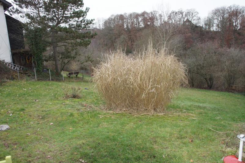 ** BAUPLATZ IN SCHÖNER, RUHIGER LAGE VON WISSEN ** - Grundstück Wissen | Angebot:27121912
