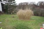 ** BAUPLATZ IN SCHÖNER, RUHIGER LAGE VON WISSEN ** - Grundstück Wissen | Angebot:27121912