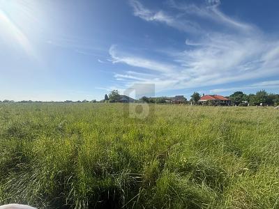 VIELE MÖGLICHKEITEN IN ENTSPANNTER ORTSLAGE - Grundstück Riepsdorf | Angebot:26762840