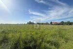 VIELE MÖGLICHKEITEN IN ENTSPANNTER ORTSLAGE - Grundstück Riepsdorf | Angebot:26762840
