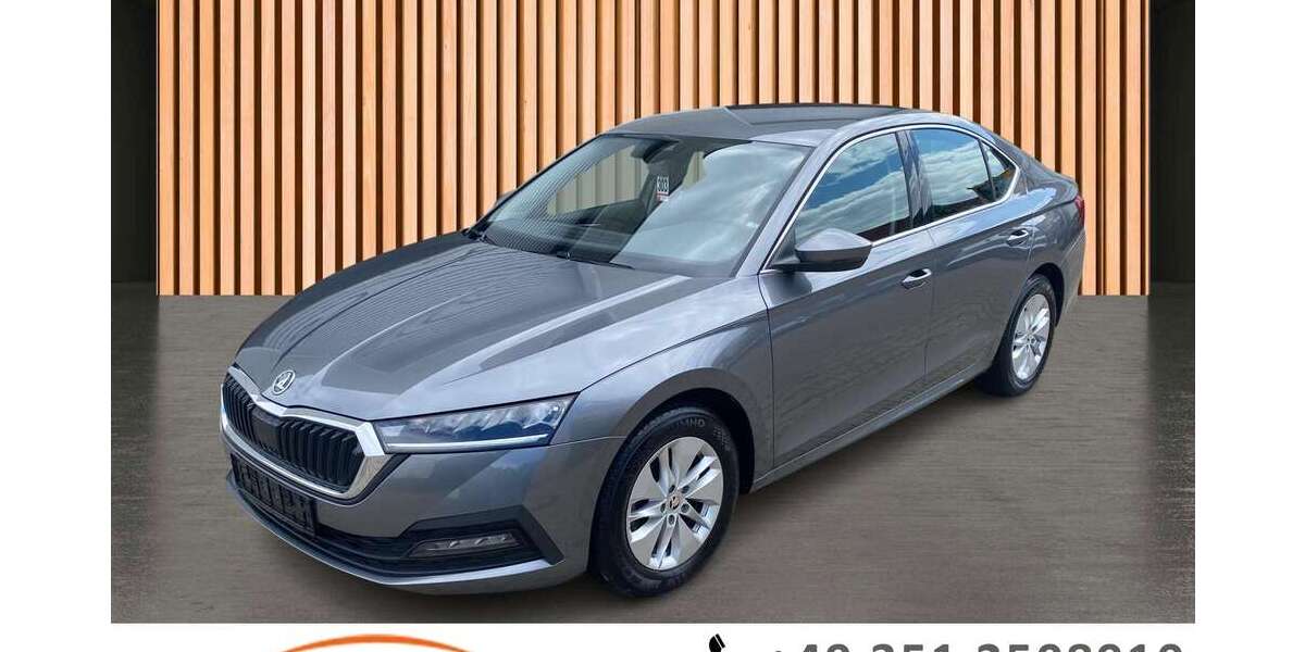 Skoda Octavia 87.462 km 18.350 &euro; Dresden/Weißig 01328