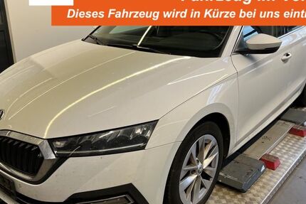 Skoda Octavia 119.787 km 19.450 &euro; Lingen 49808