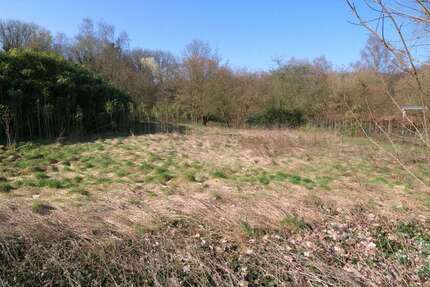 Grundstück Kleve - 236.000&euro; | Angebot:25378167