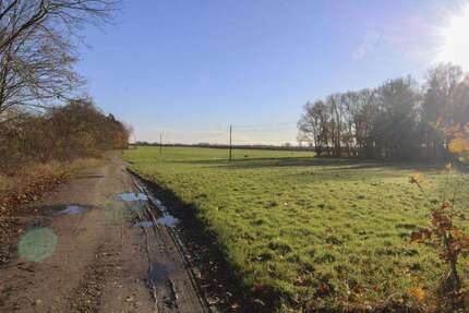 Grundstück zu verkaufen in Niepars 90.000 € 25536.06 m² zimmer