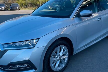 Skoda Octavia 16.669 km 31.980 € Bitburg 54634